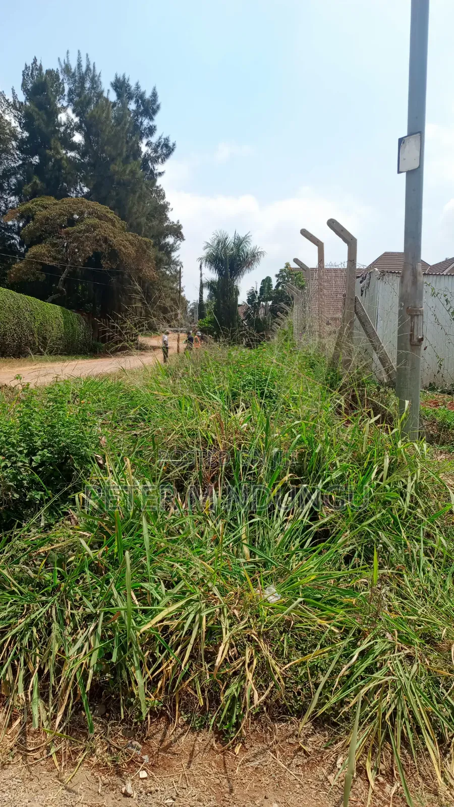 Runda Evergreen- Prime Residential 1/2 Acre With Title in Kiambu / Kiambu