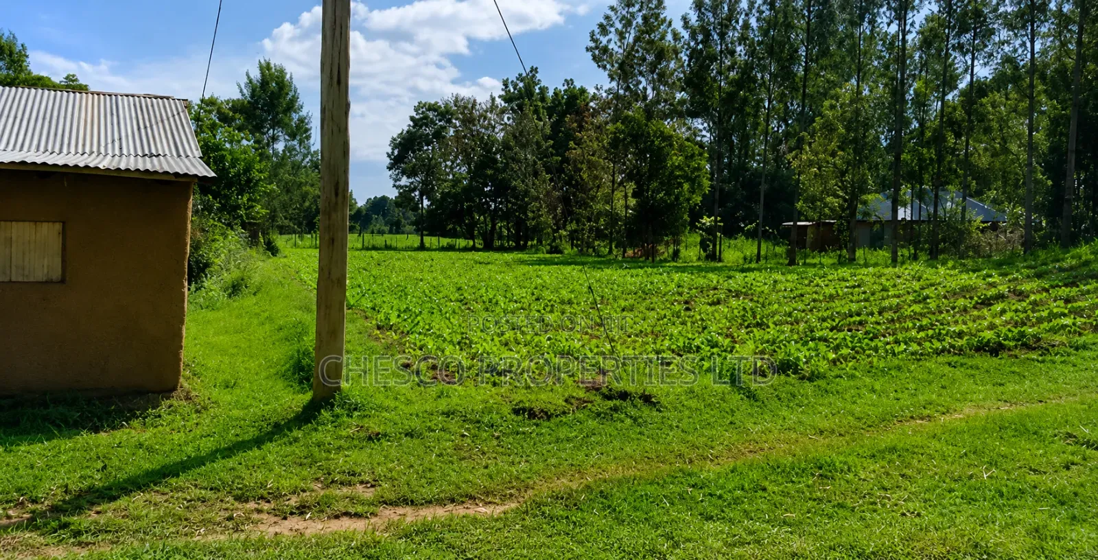 4 Acres for Sale in Khachonge, Bungoma in Khalaba (Kanduyi)