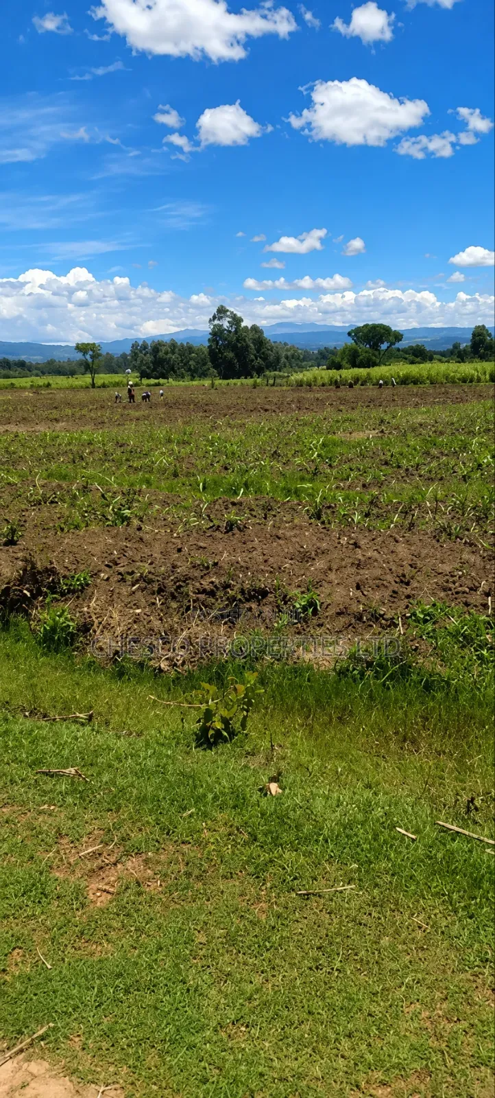 4 Acres for Sale in Khachonge, Bungoma in Khalaba (Kanduyi)