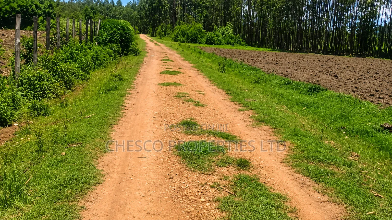 4 Acres for Sale in Khachonge, Bungoma in Khalaba (Kanduyi)