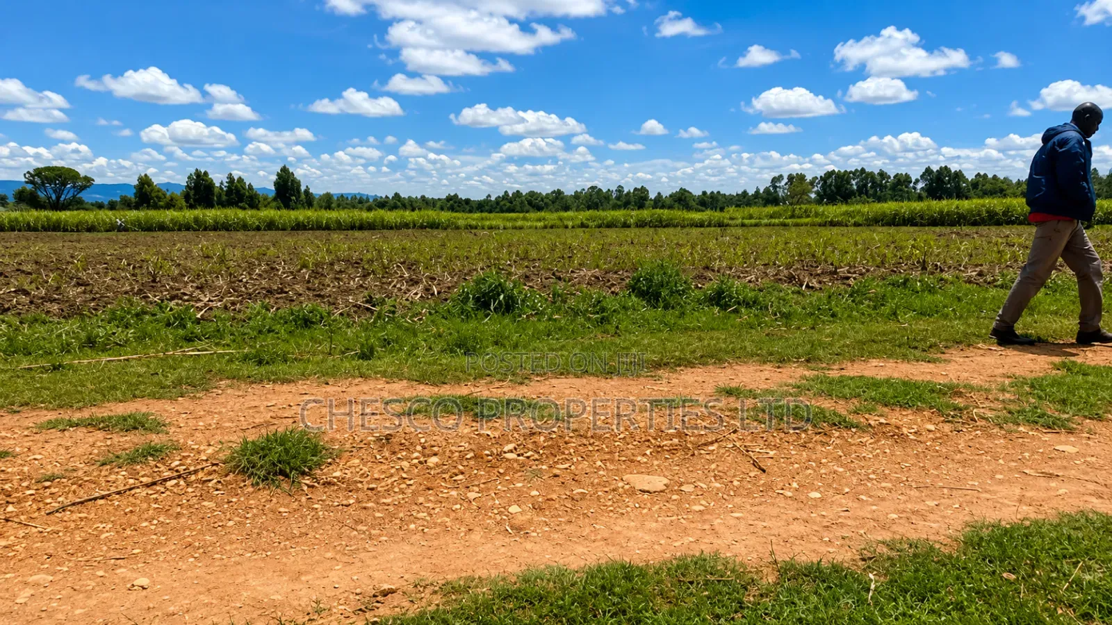 4 Acres for Sale in Khachonge, Bungoma in Khalaba (Kanduyi)