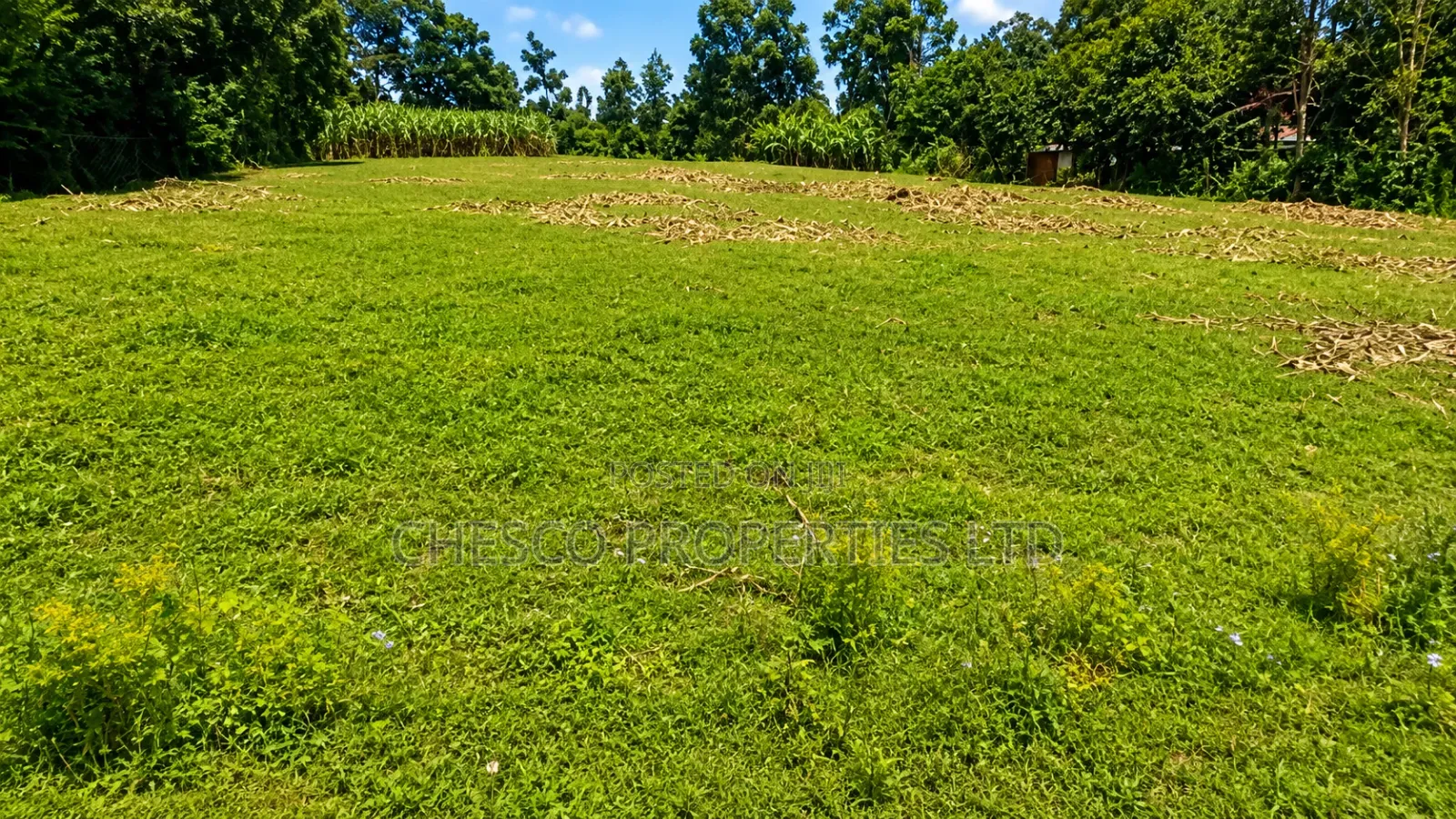 3 Acres for Sell in Mayanja Kibuke, BUNGOMA in Khalaba (Kanduyi)