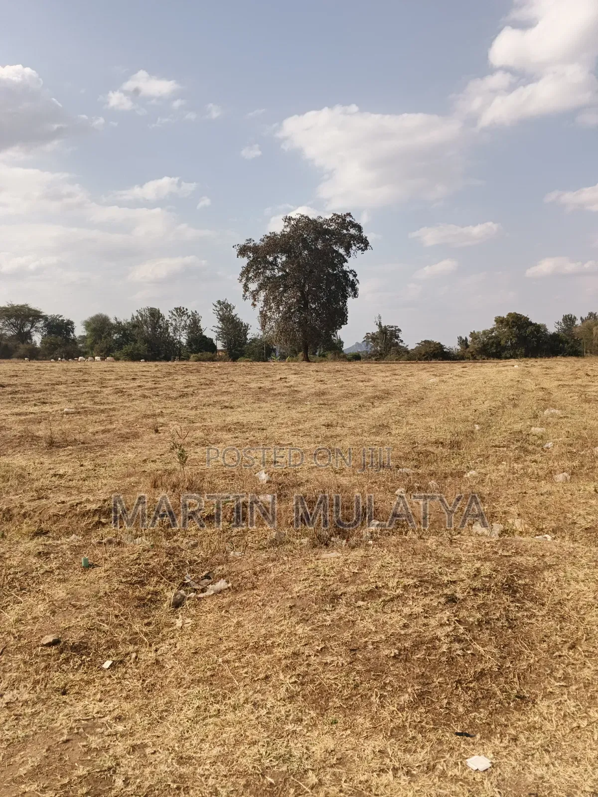 Land for Sell in NYS Area
