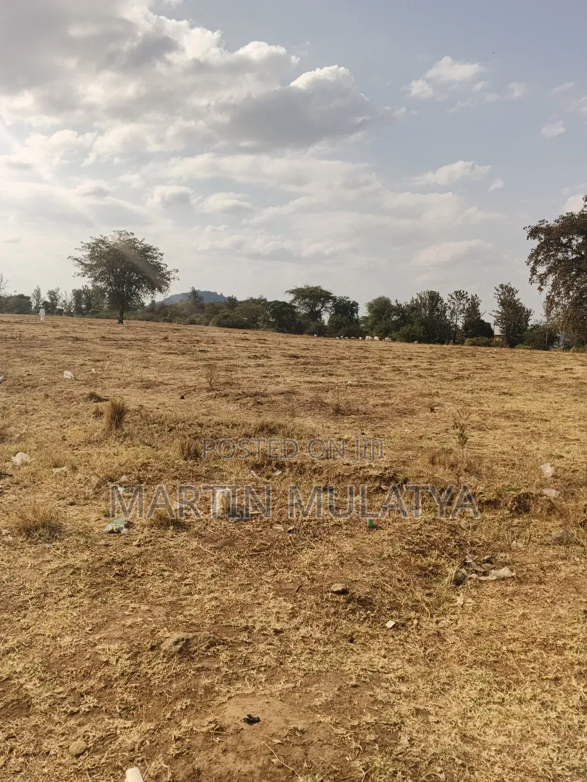 Land for Sell in NYS Area