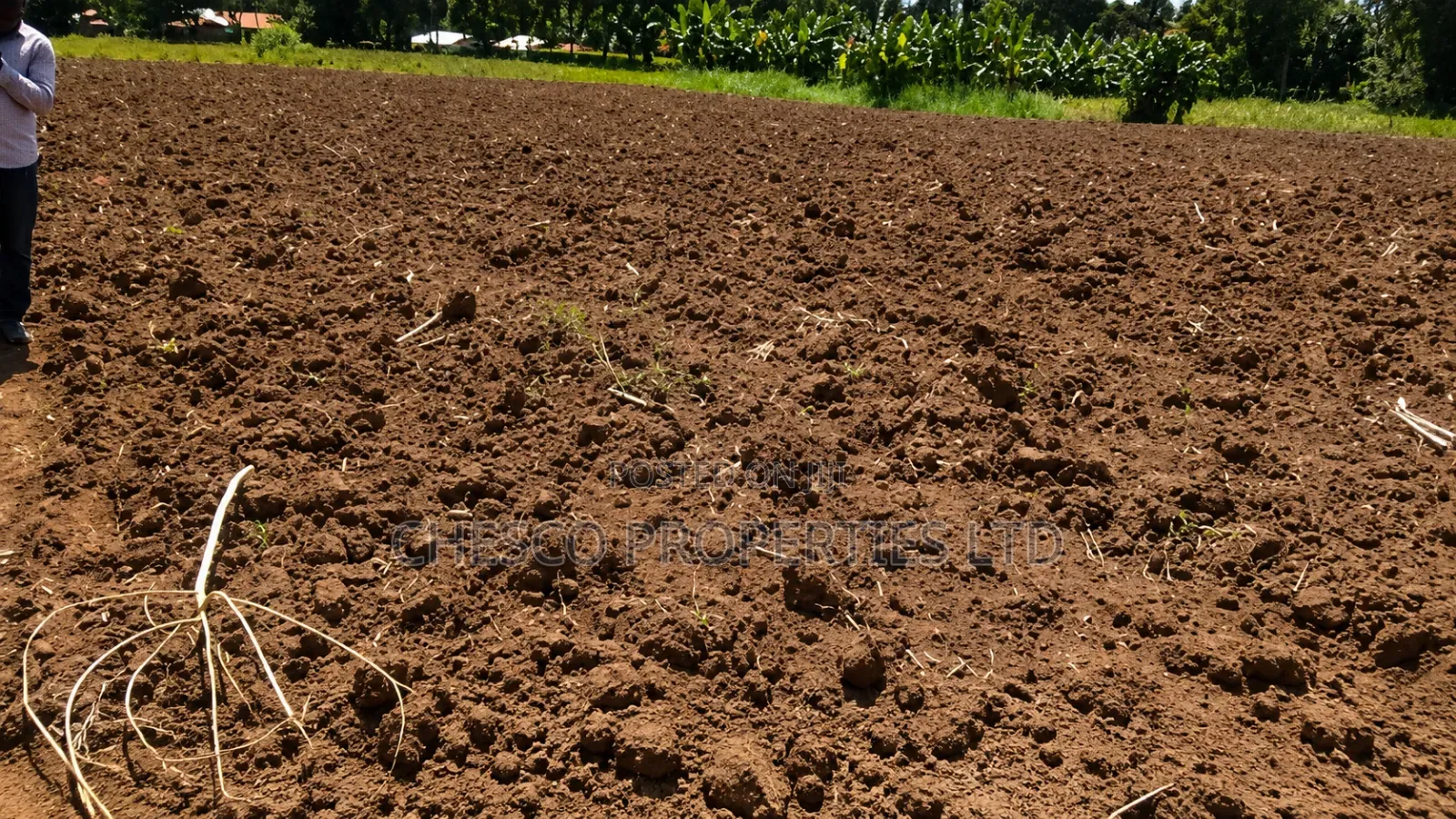 Half an Acre for Sale in Kabula, Bumula Constituency - Bungoma in Bumula