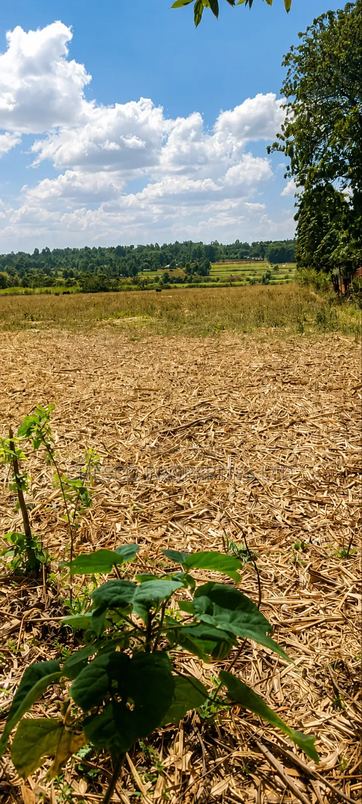 4 Acres for Sale in Mabanga - Bungoma in Bukembe West