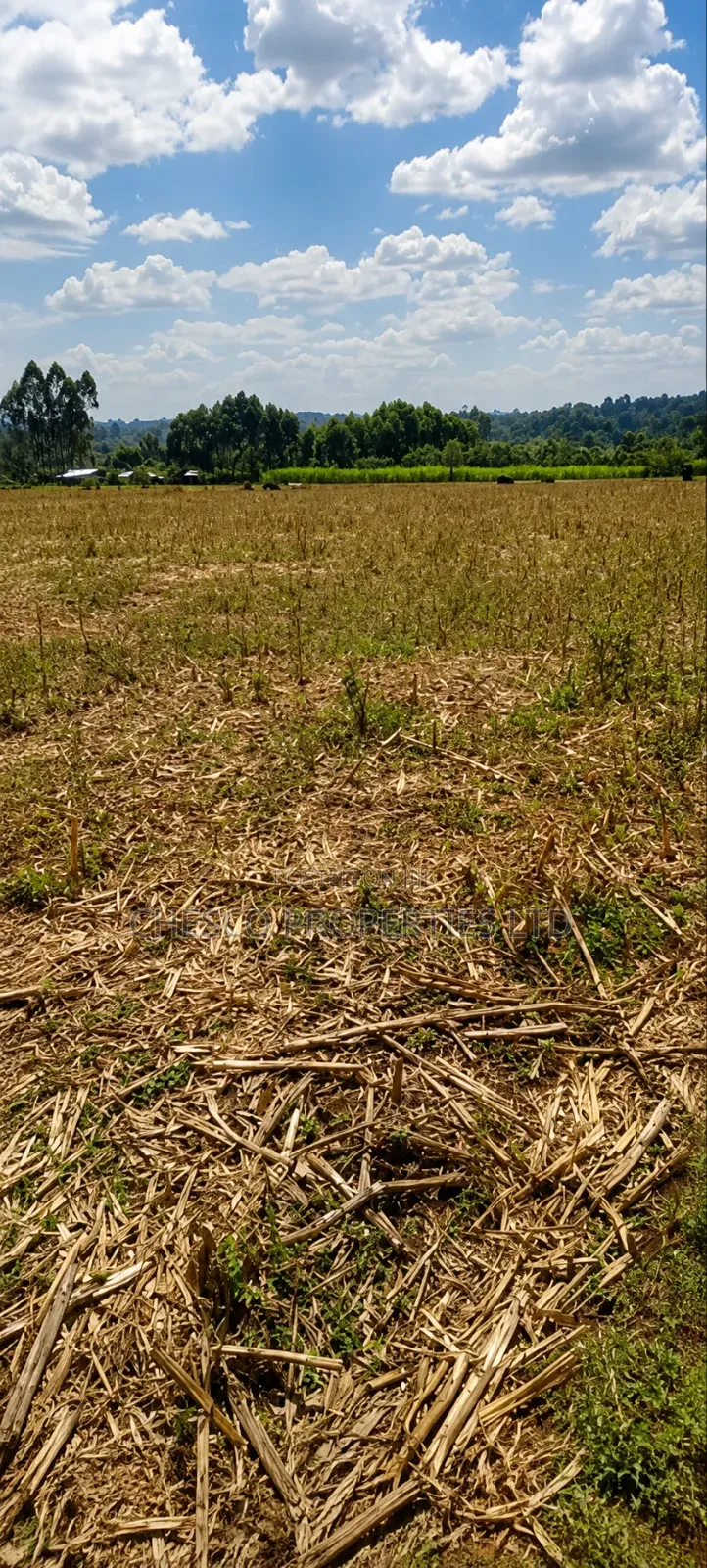 4 Acres for Sale in Mabanga - Bungoma in Bukembe West