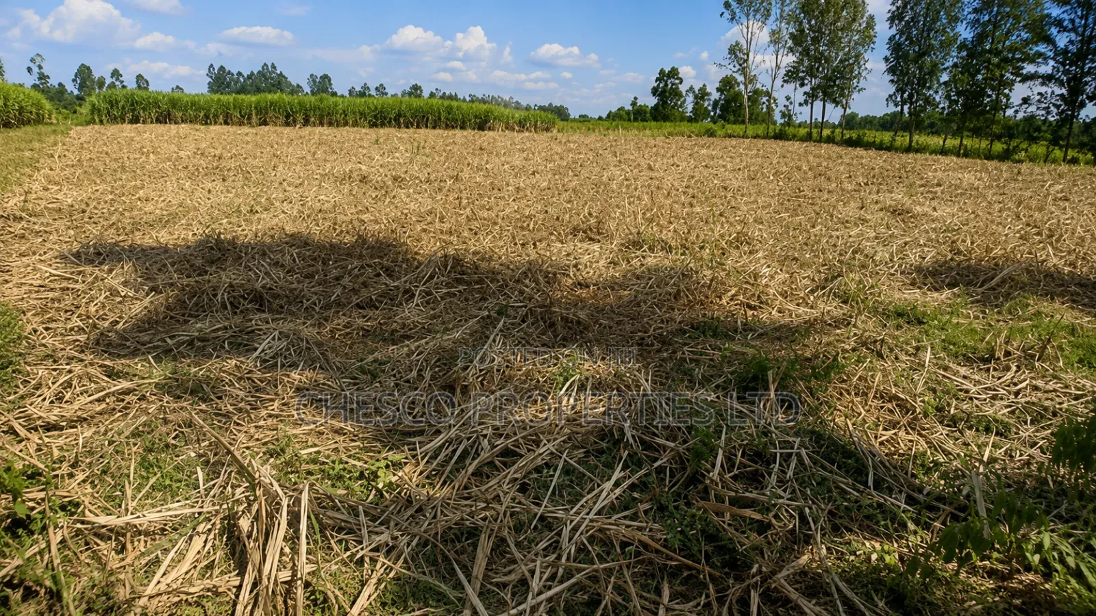 4 Acres for Sale in Mabanga - Bungoma in Bukembe West