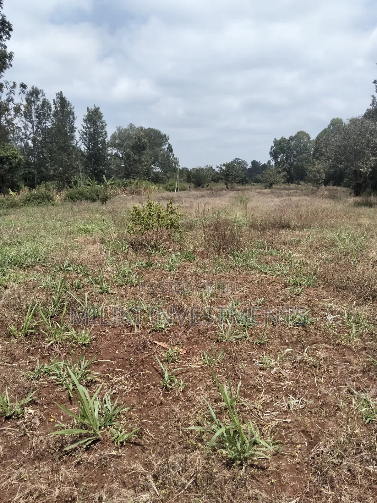2.9 Acres Commercial Land on Sale at Kenol. in Kimorori/Wempa