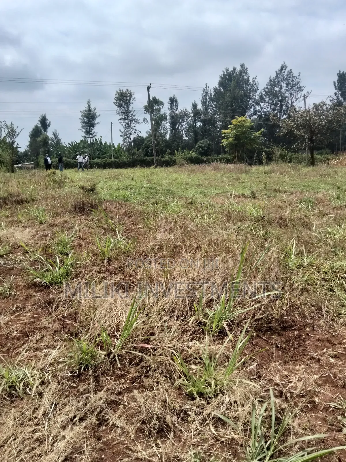 2.9 Acres Commercial Land on Sale at Kenol. in Kimorori/Wempa