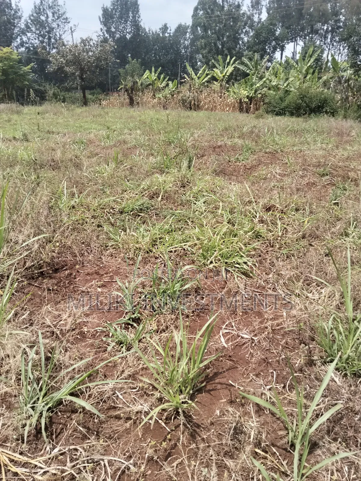 2.9 Acres Commercial Land on Sale at Kenol. in Kimorori/Wempa
