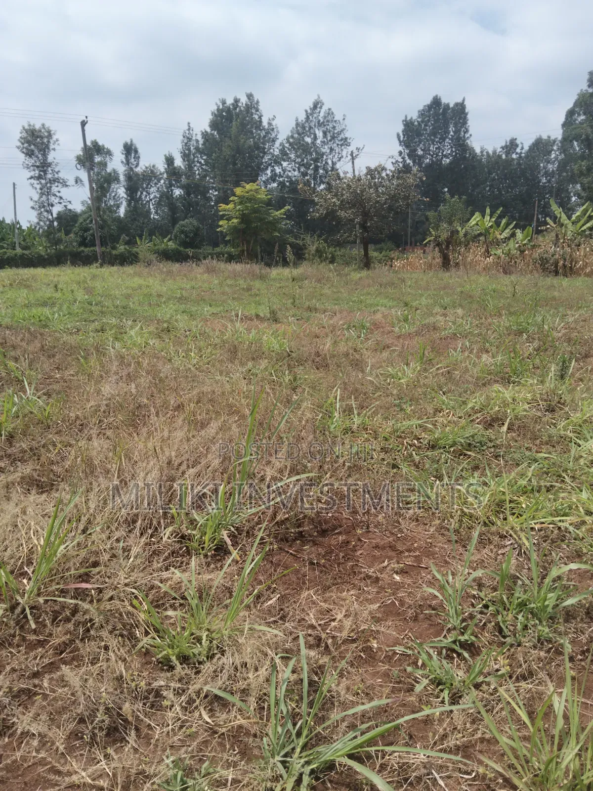 2.9 Acres Commercial Land on Sale at Kenol. in Kimorori/Wempa