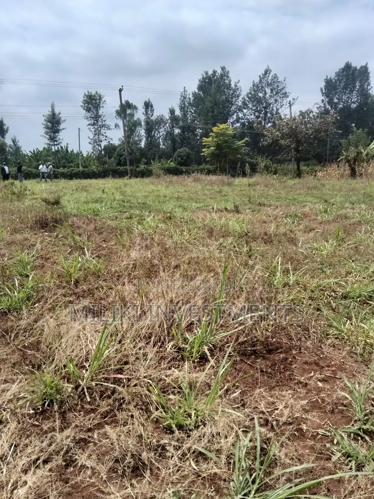 2.9 Acres Commercial Land on Sale at Kenol. in Kimorori/Wempa