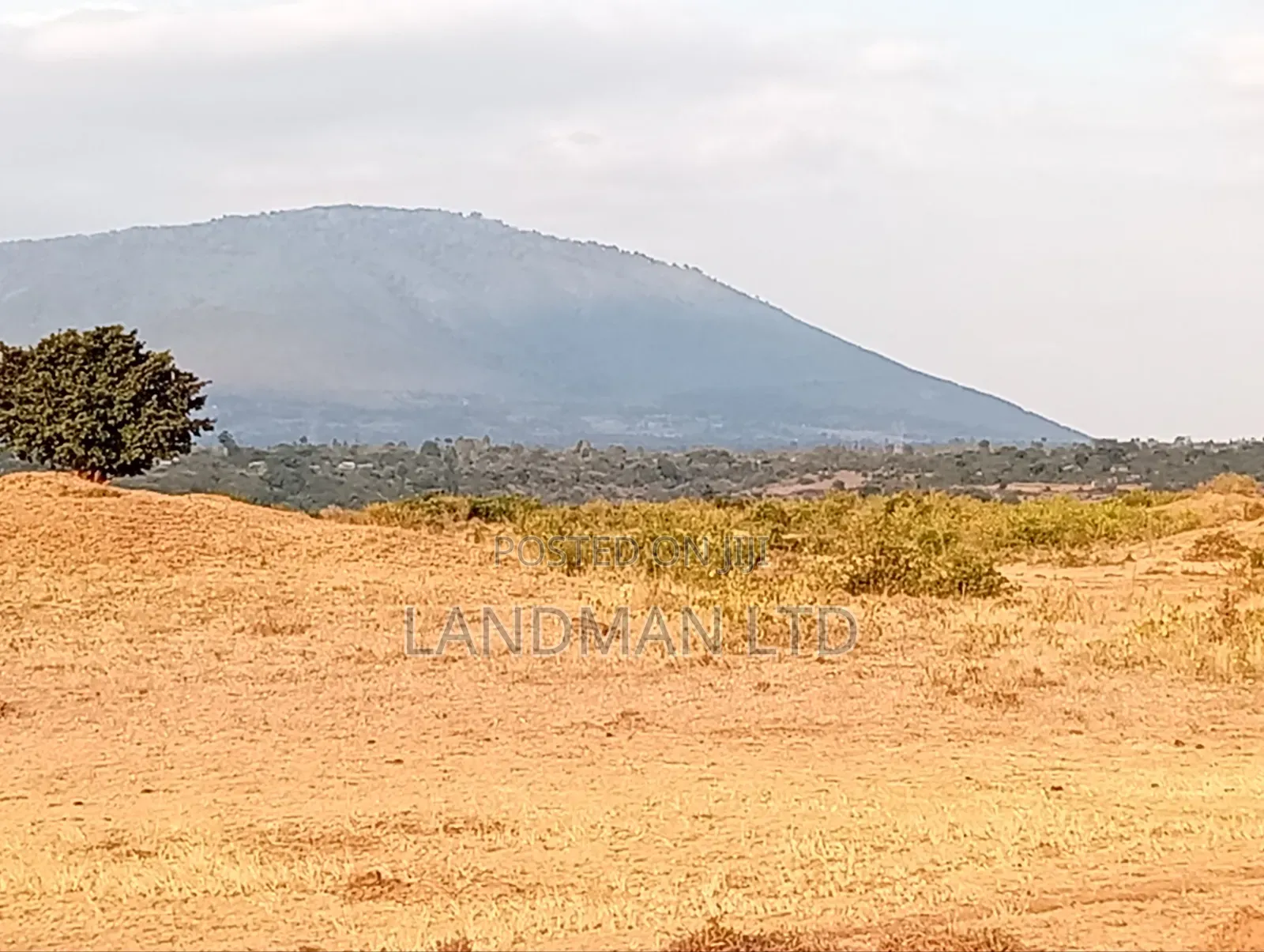 Juja Farm Mukuyunni in Kalimoni
