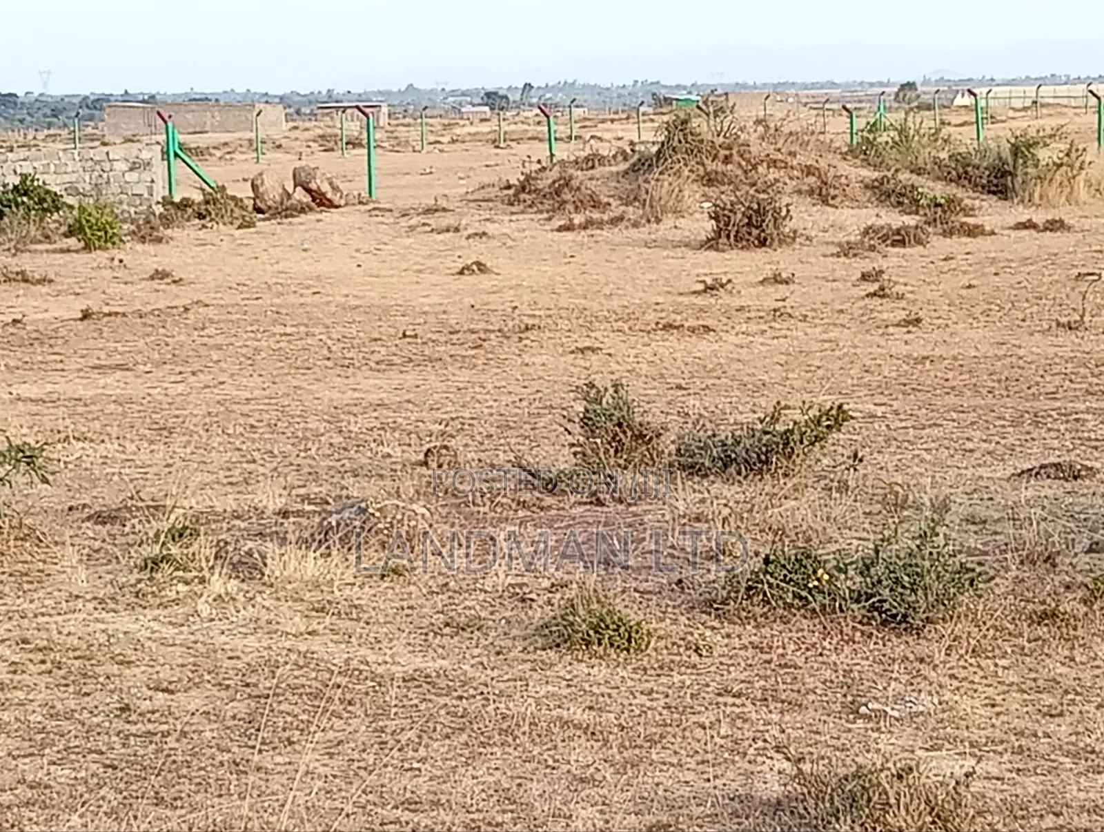 Juja Farm Mukuyunni in Kalimoni
