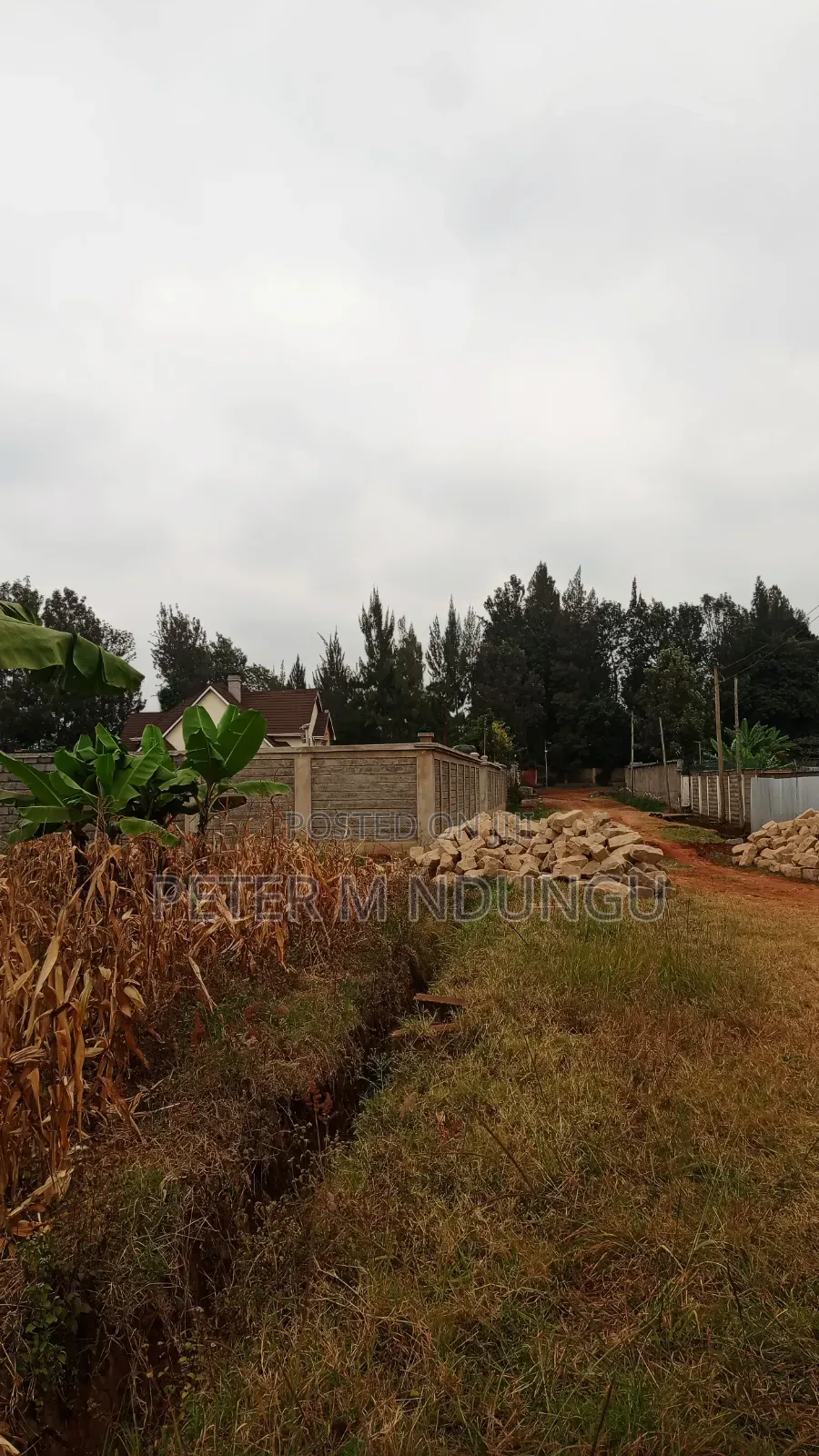 Muthithi-Njathaini Road-Kivuli Estate, Residential 1/4 Acre Plot in Kiambu / Kiambu 