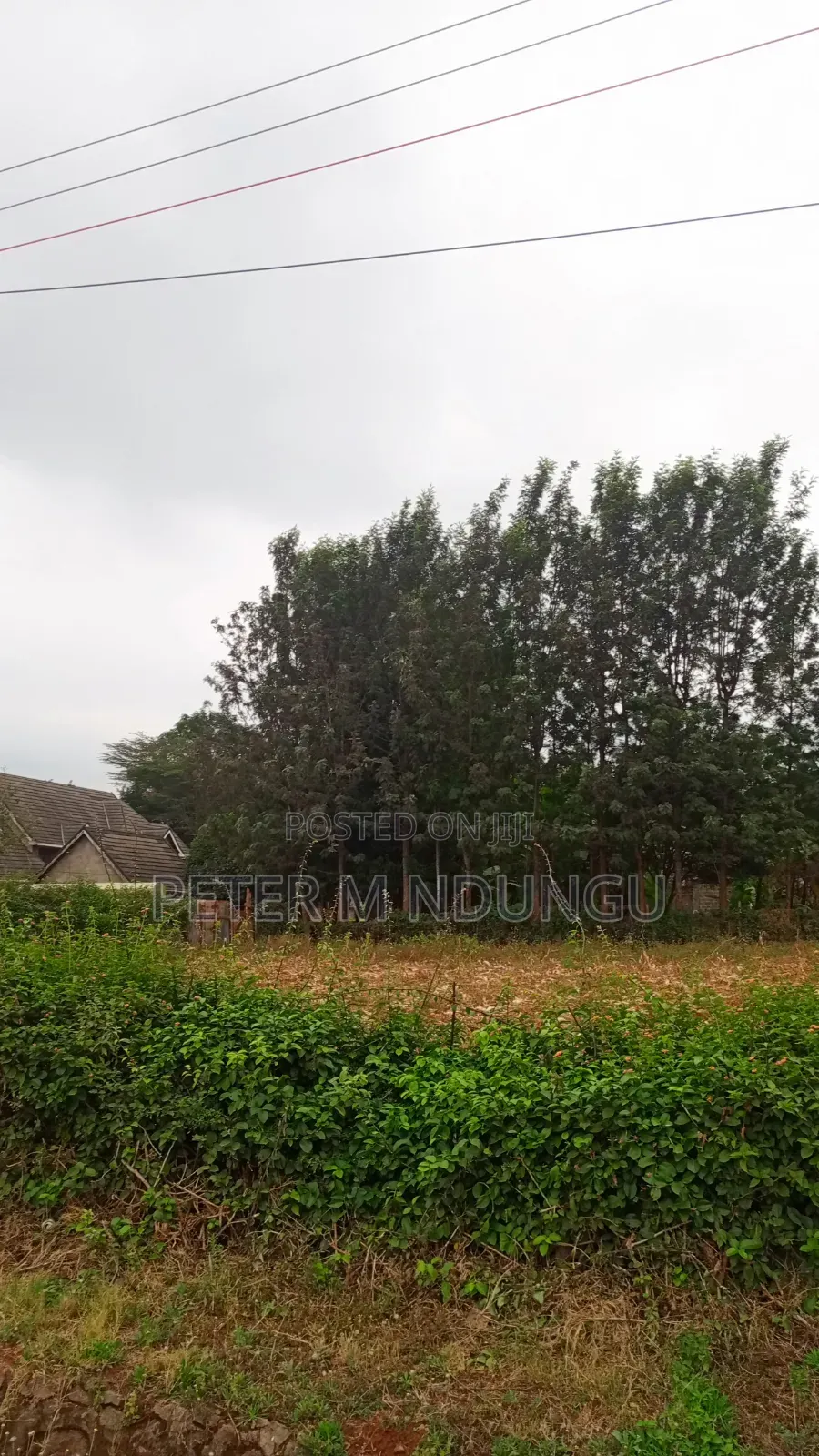 Muthithi-Njathaini Road-Kivuli Estate, Residential 1/4 Acre Plot in Kiambu / Kiambu 
