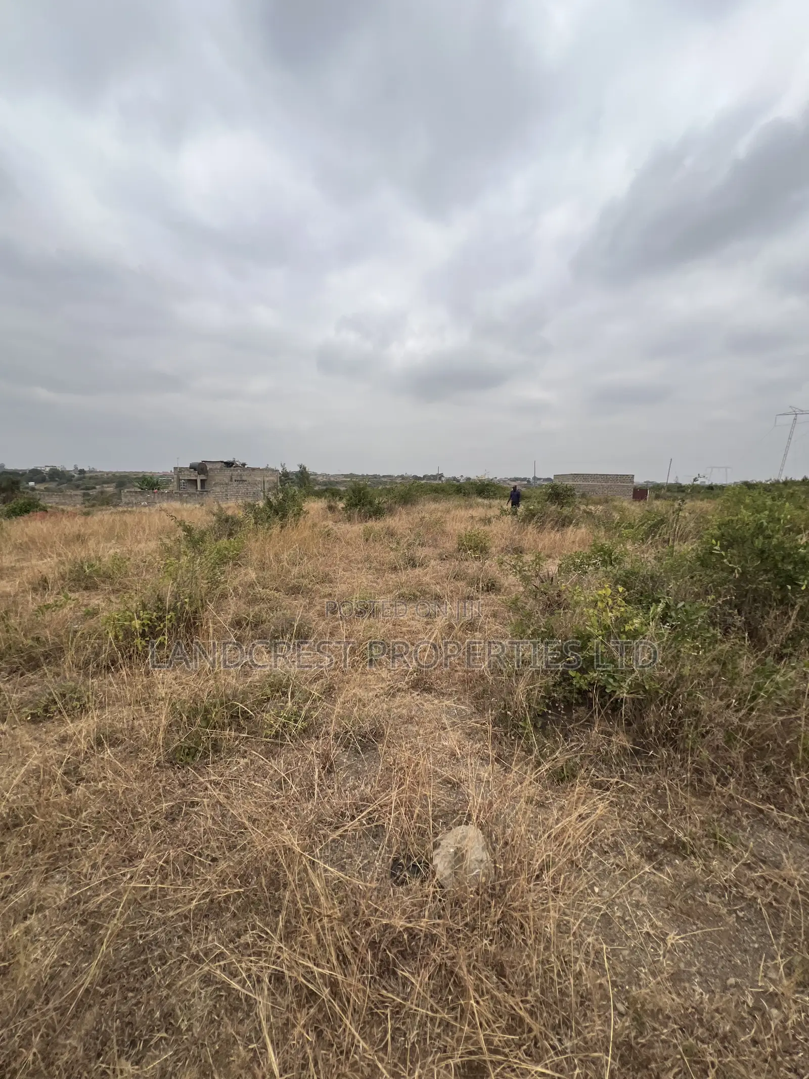 Prime 33*100 Plots for Sale in Juja, Mastore in Juja