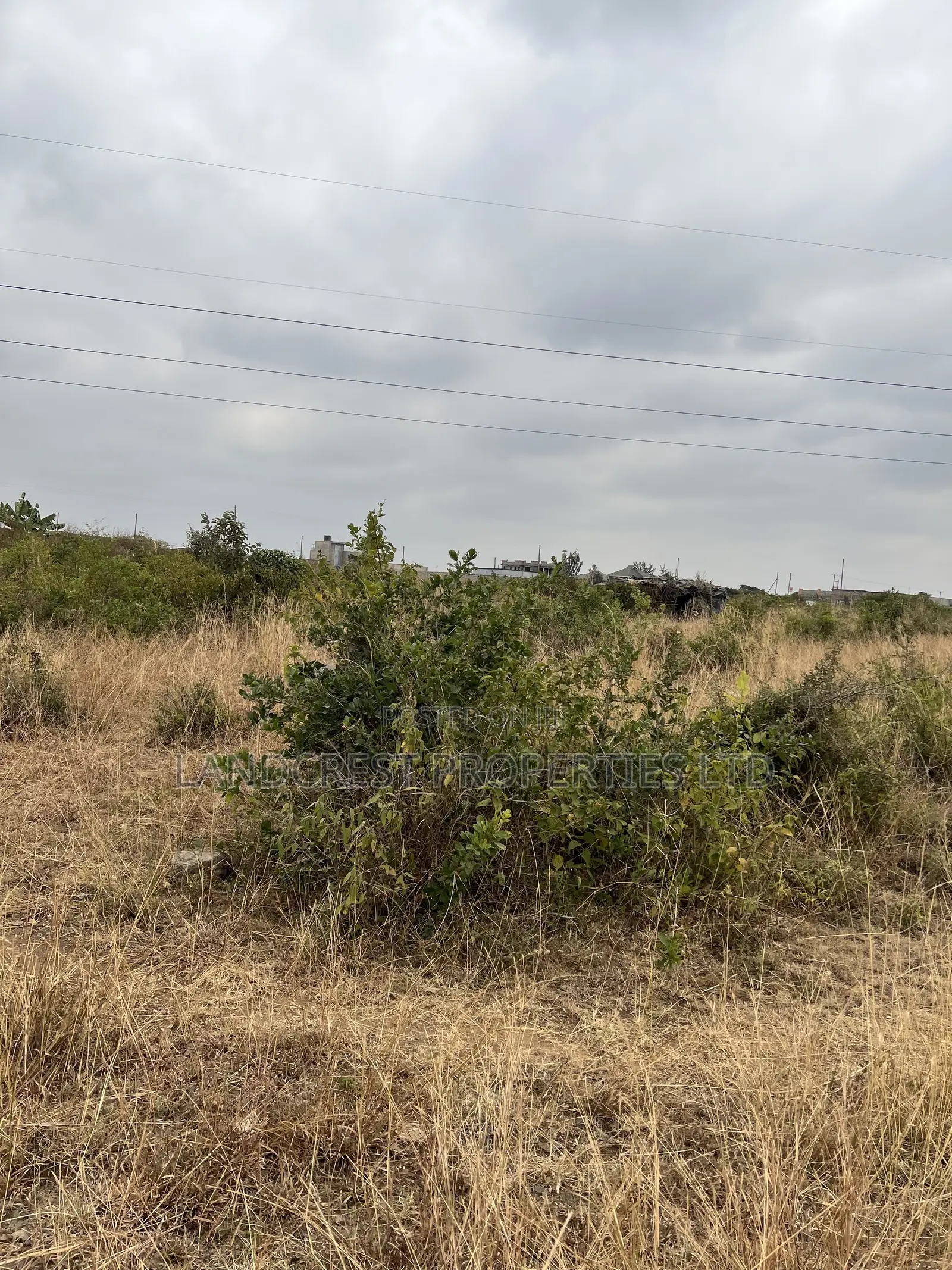 Prime 33*100 Plots for Sale in Juja, Mastore in Juja