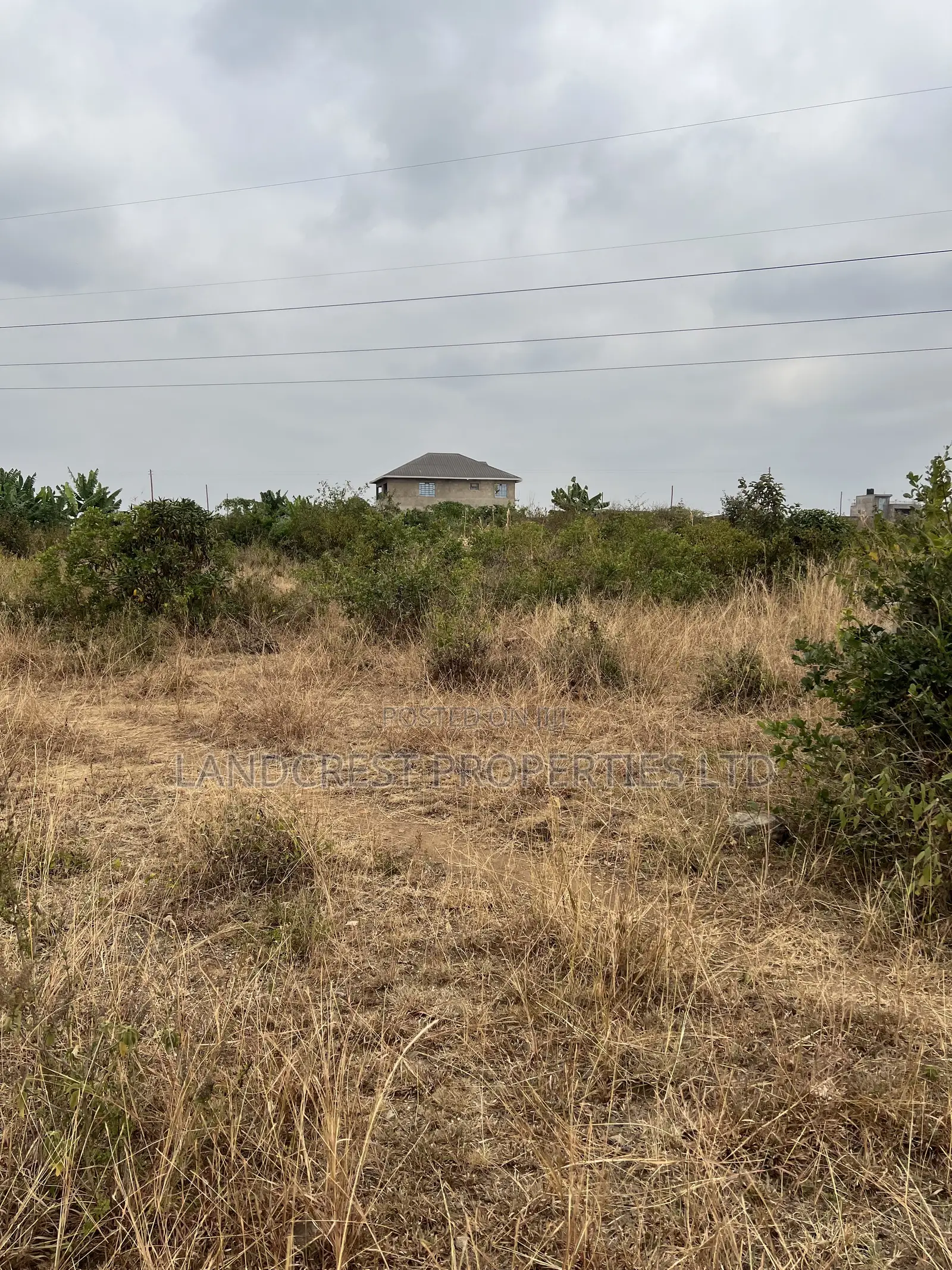 Prime 33*100 Plots for Sale in Juja, Mastore in Juja