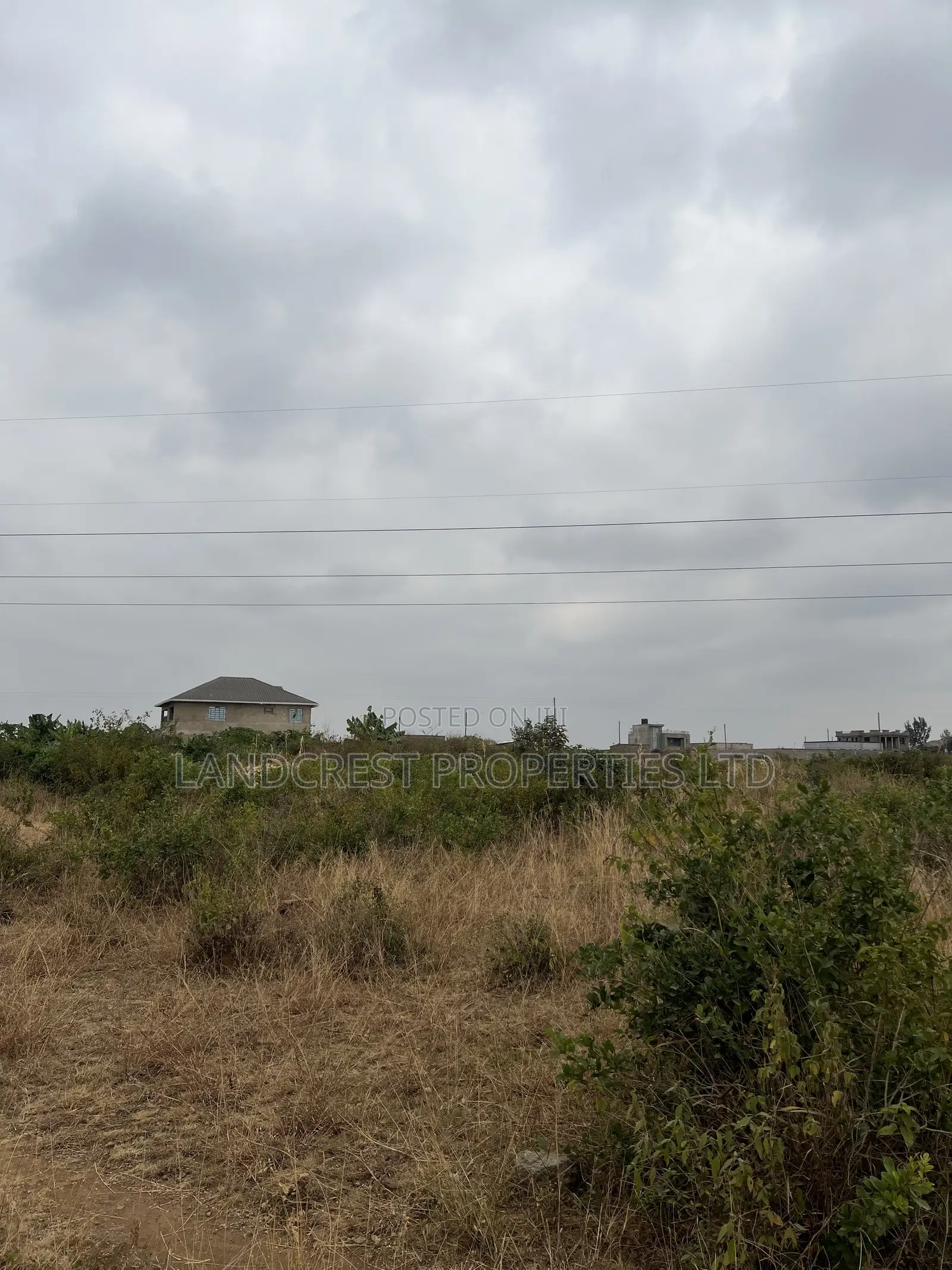 Prime 33*100 Plots for Sale in Juja, Mastore in Juja