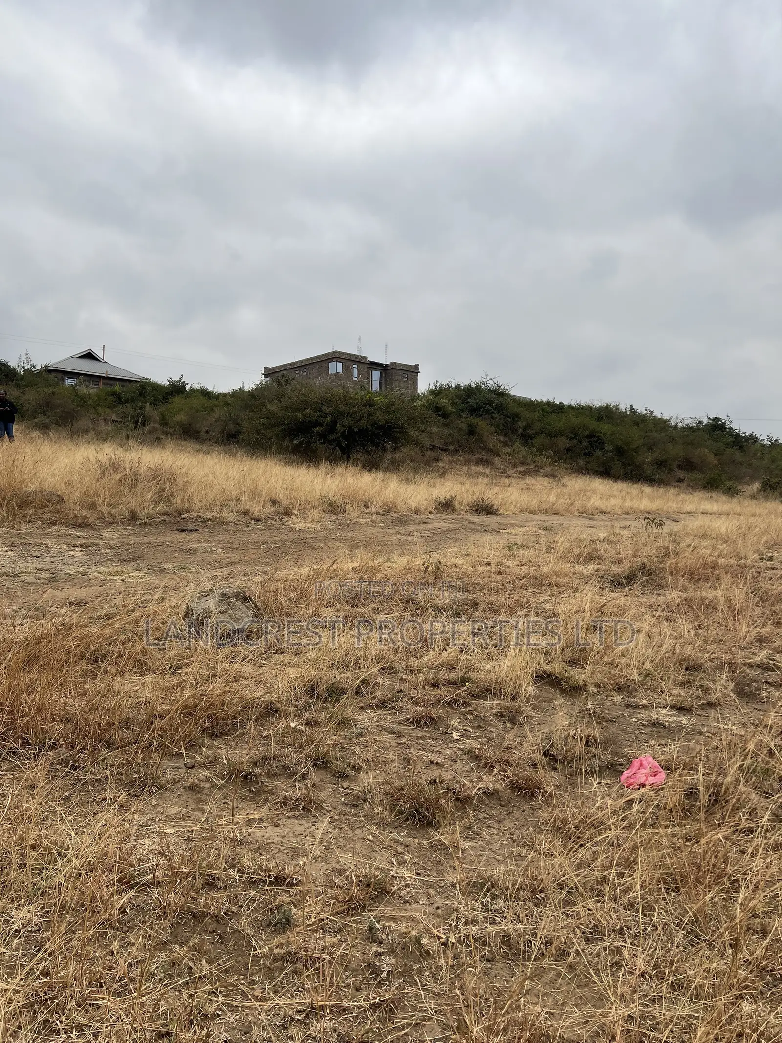 Prime 40*100 Plot for Sale juja Mastore in Juja