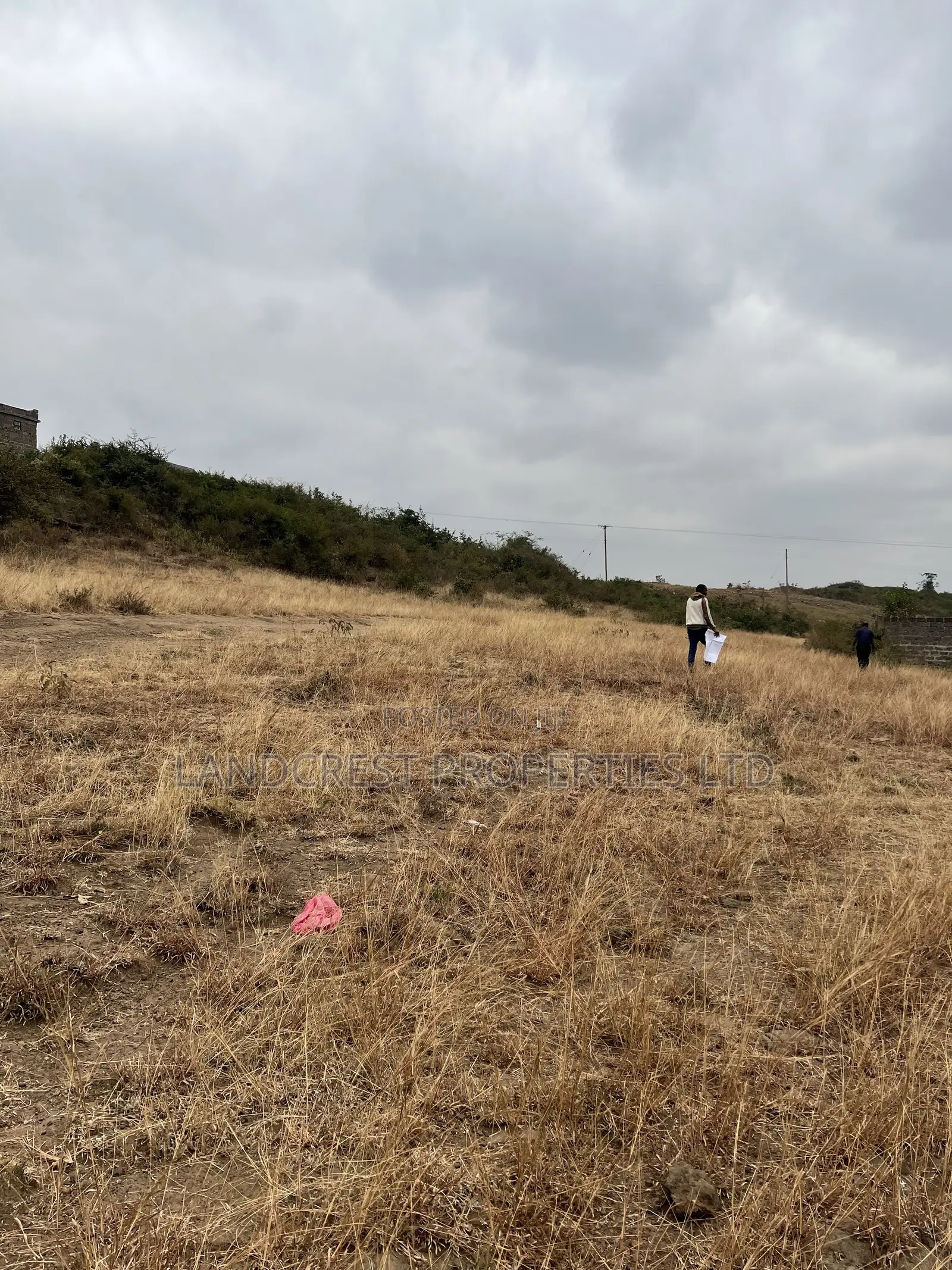 Prime 40*100 Plot for Sale juja Mastore in Juja