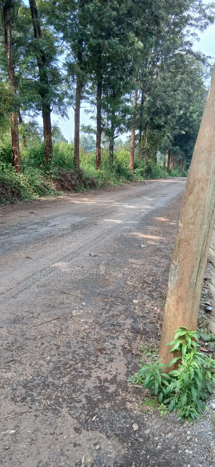 Half-Acre Prime Plot for Sale – Kerarapon Drive in Kerarapon