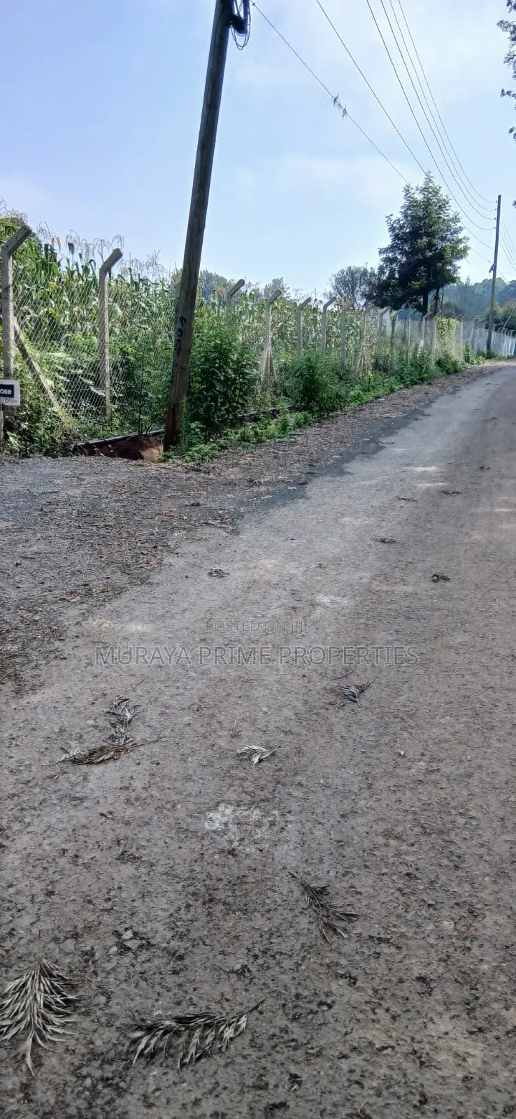 Half-Acre Prime Plot for Sale – Kerarapon Drive in Kerarapon