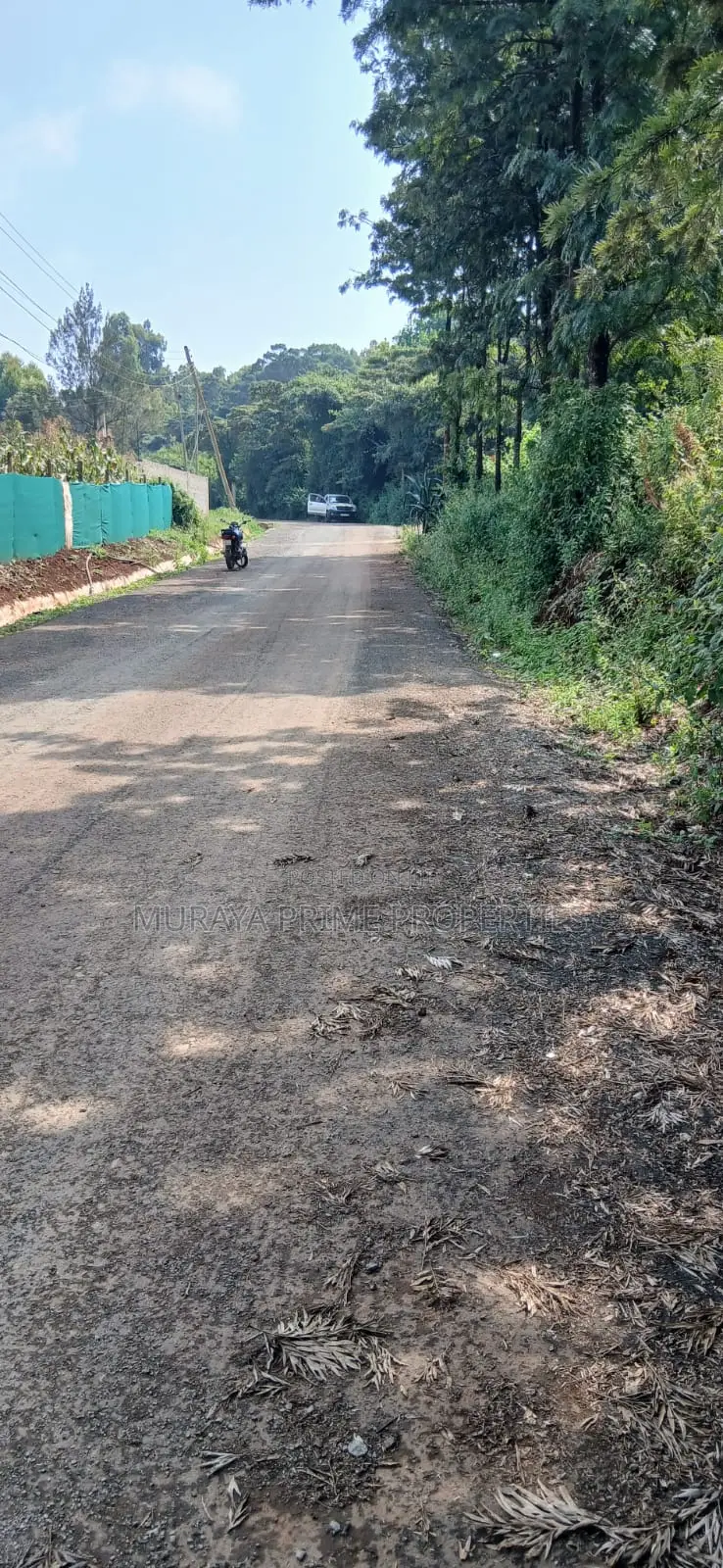 Half-Acre Prime Plot for Sale – Kerarapon Drive in Kerarapon