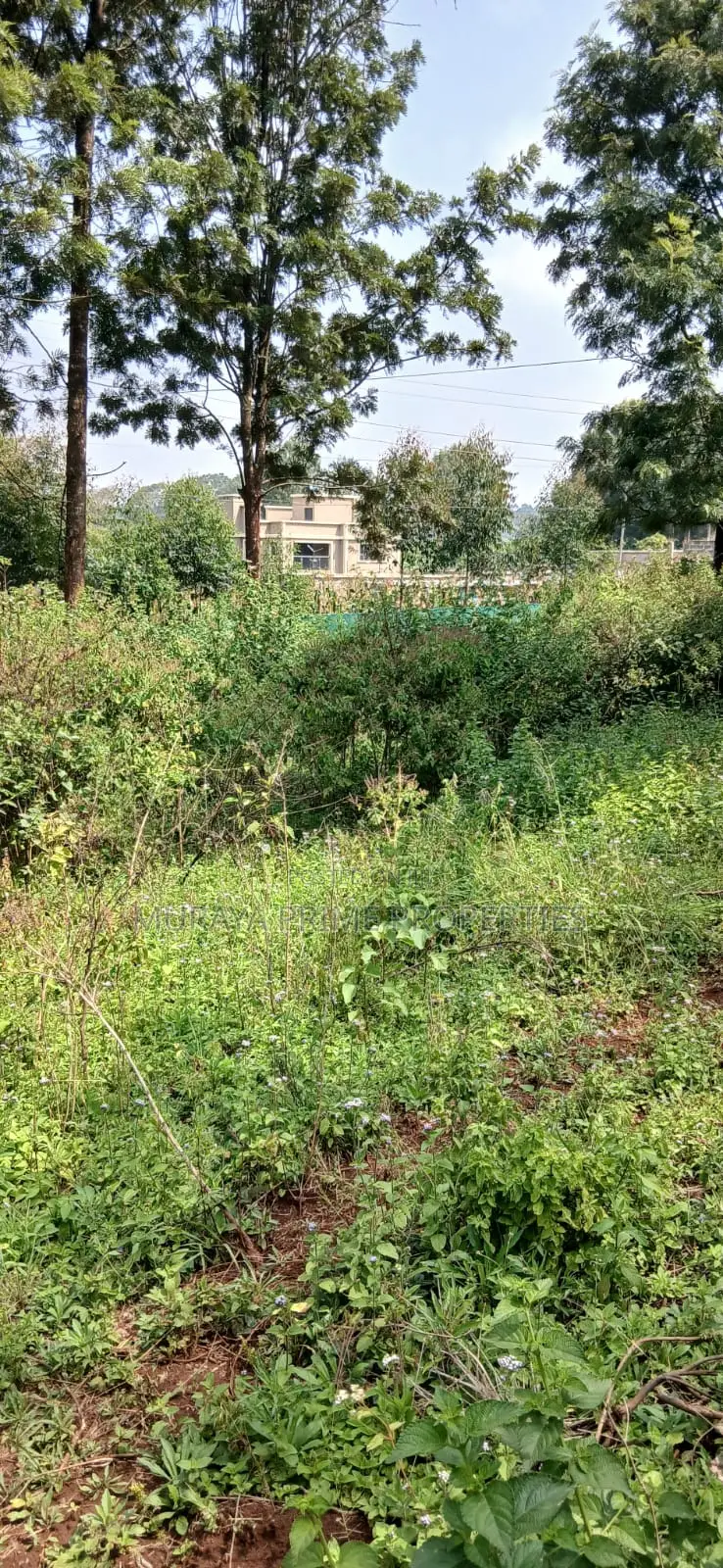 Half-Acre Prime Plot for Sale – Kerarapon Drive in Kerarapon