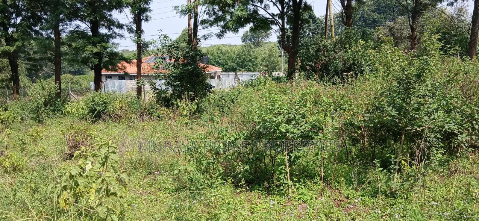 Quarter Acre Prime Plot for Sale – Kerarapon Drive in Kerarapon