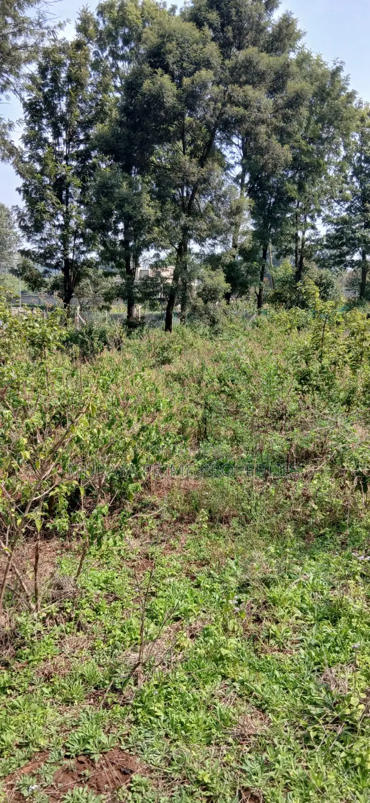 Quarter Acre Prime Plot for Sale – Kerarapon Drive in Kerarapon