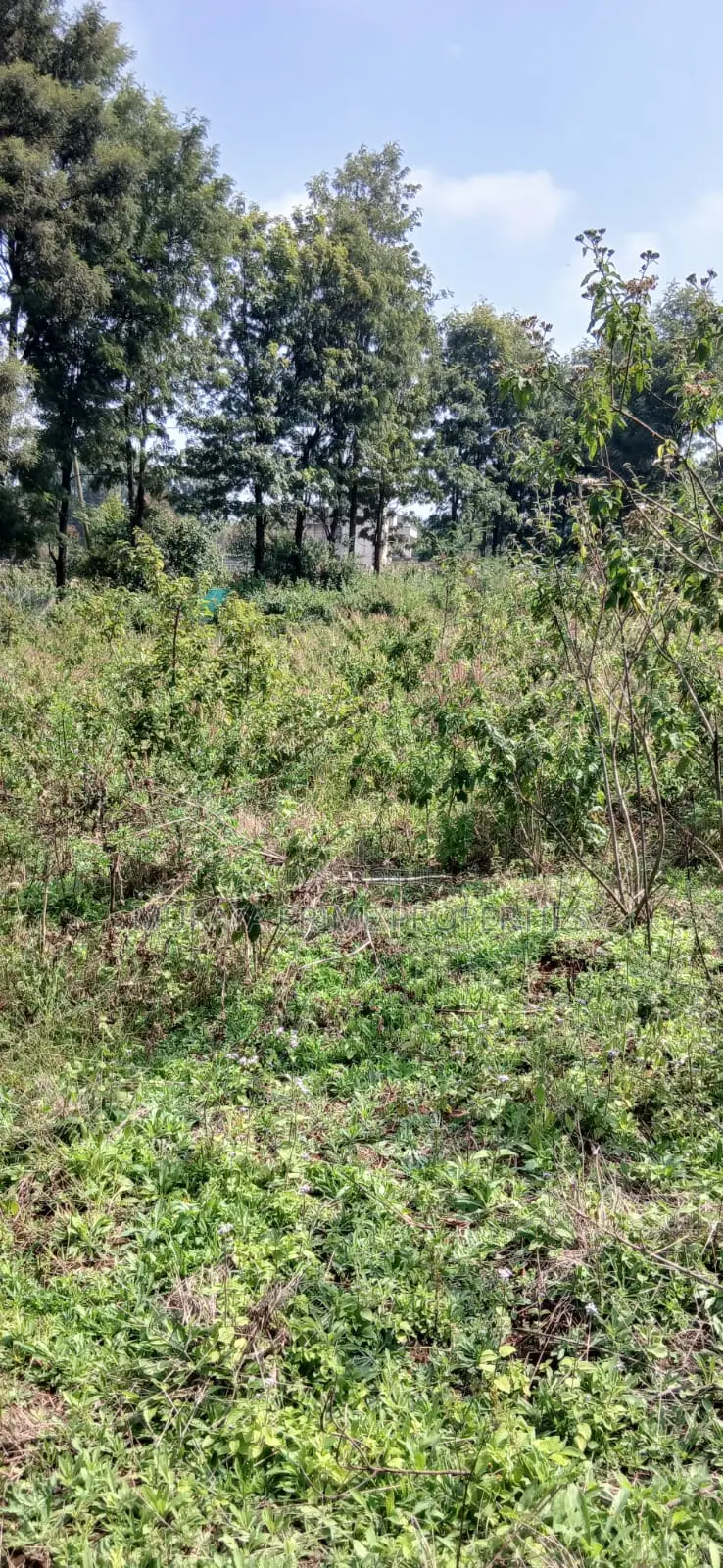 Quarter Acre Prime Plot for Sale – Kerarapon Drive in Kerarapon