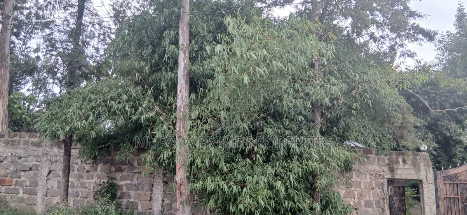 Prime 1⁄2 Acre Property for Sale – Kerarapon Drive, Karen in Kerarapon