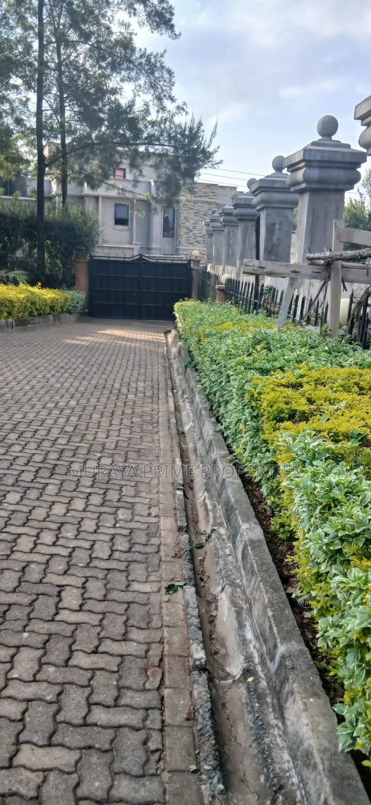 Quarter-Acre Prime Plot for Sale – Kerarapon Drive in Kerarapon
