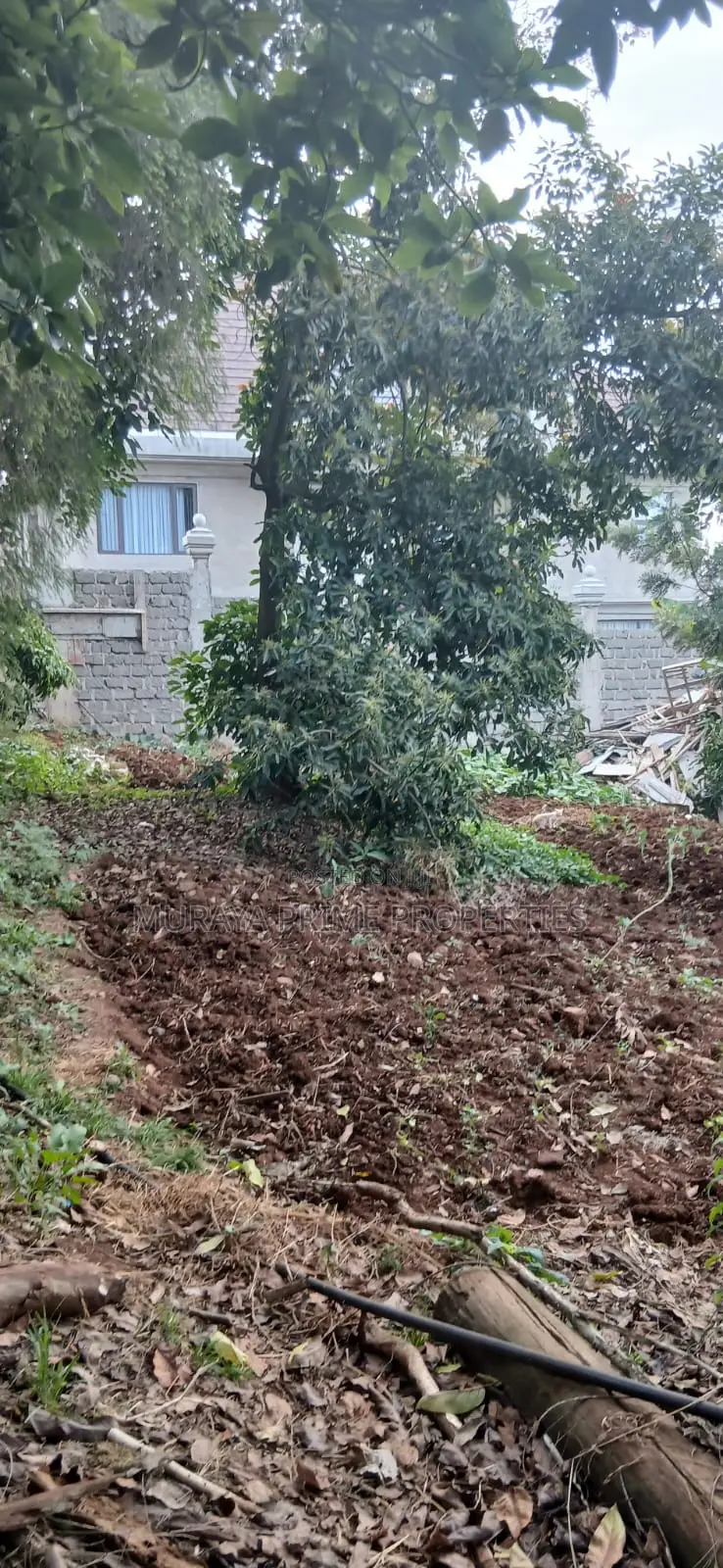 Quarter-Acre Prime Plot for Sale – Kerarapon Drive in Kerarapon