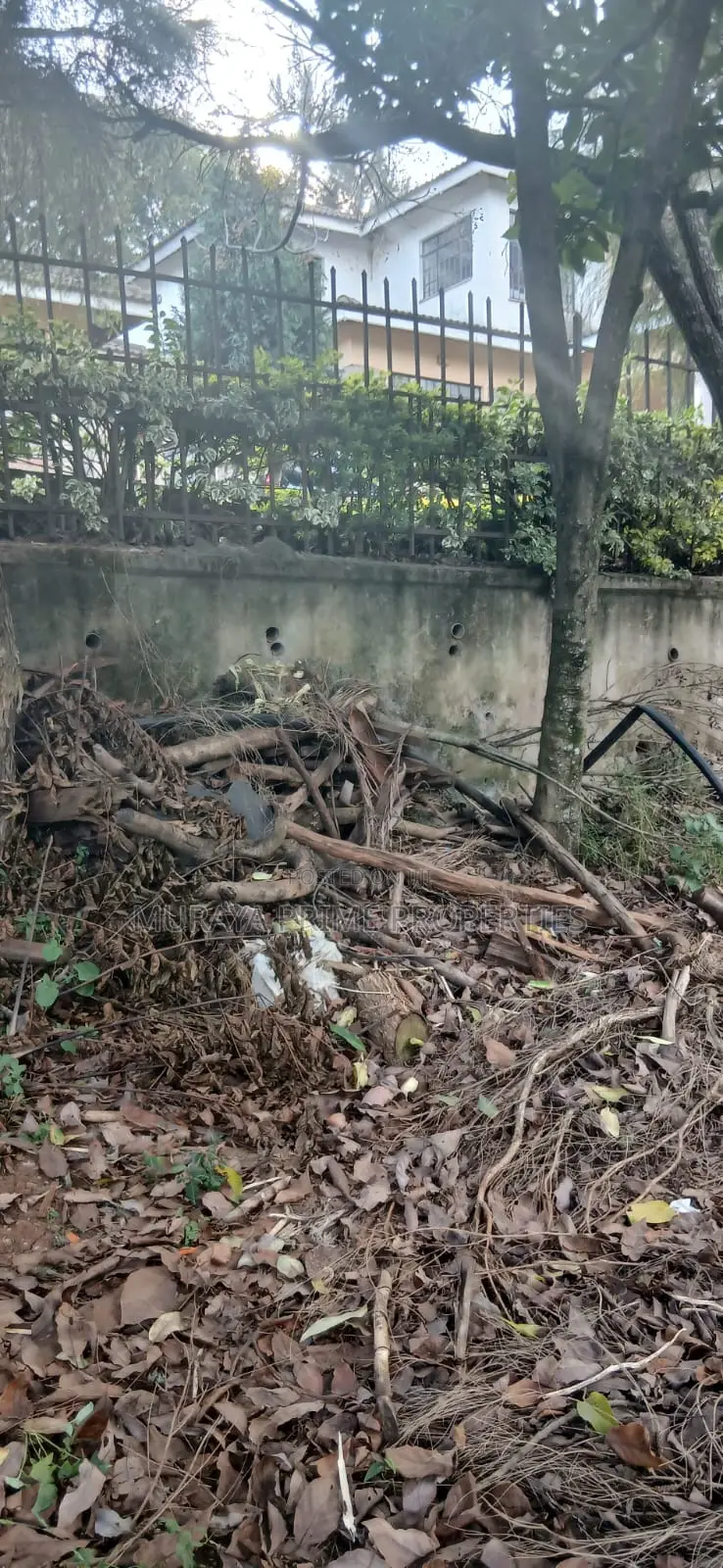 Quarter-Acre Prime Plot for Sale – Kerarapon Drive in Kerarapon