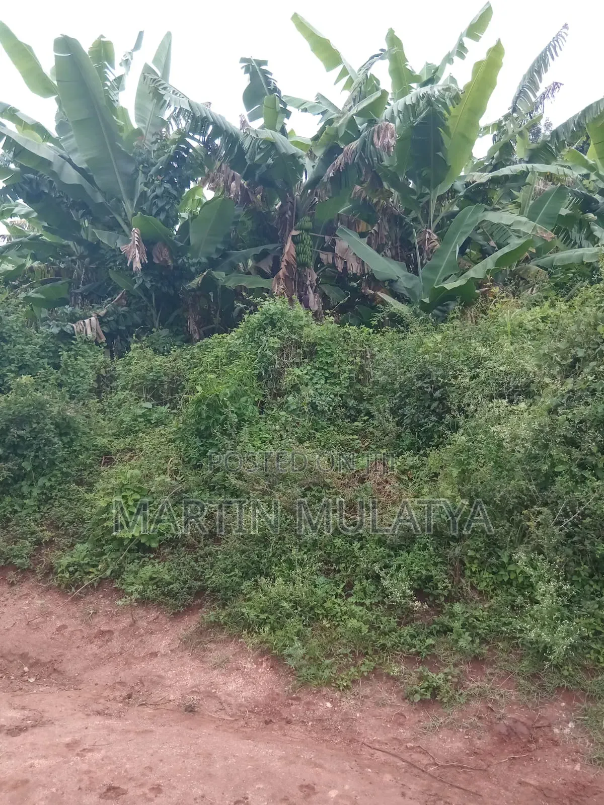24 Acres at Mwala in Mbiuni