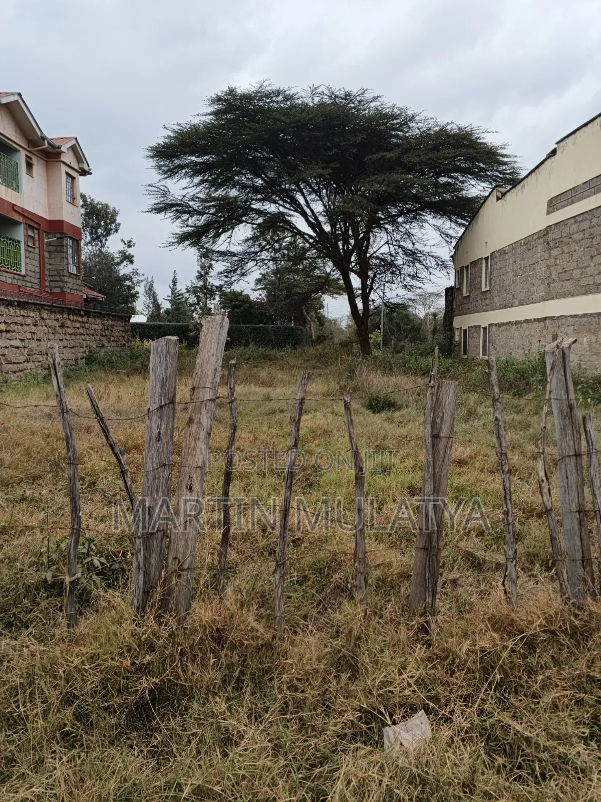 Plot for Sell in Junction
