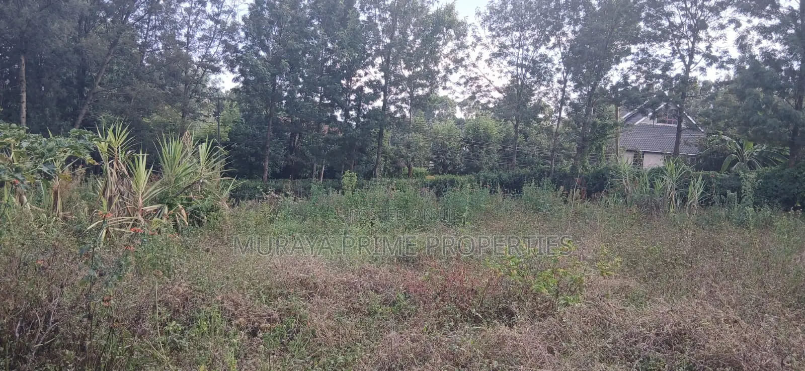 1/8 Acre Prime Plot for Sale – Kerarapon Drive, Kerarapon in Kerarapon