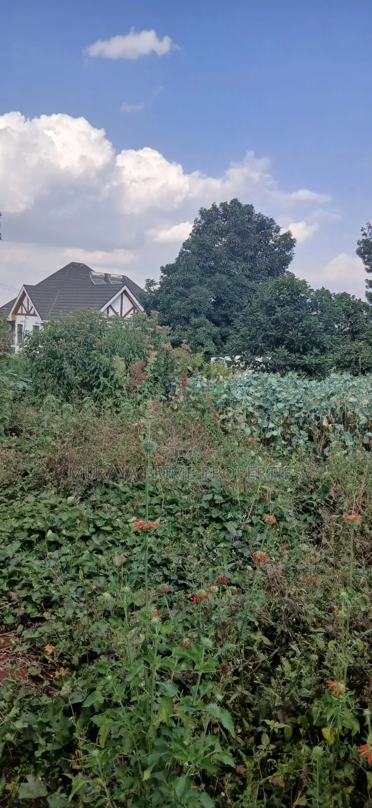 1/8 Acre Prime Plot for Sale – Kerarapon Drive, Kerarapon in Kerarapon