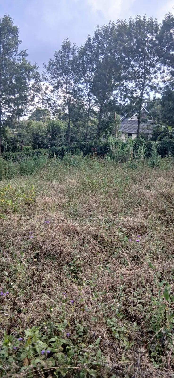 1/8 Acre Prime Plot for Sale – Kerarapon Drive, Kerarapon in Kerarapon