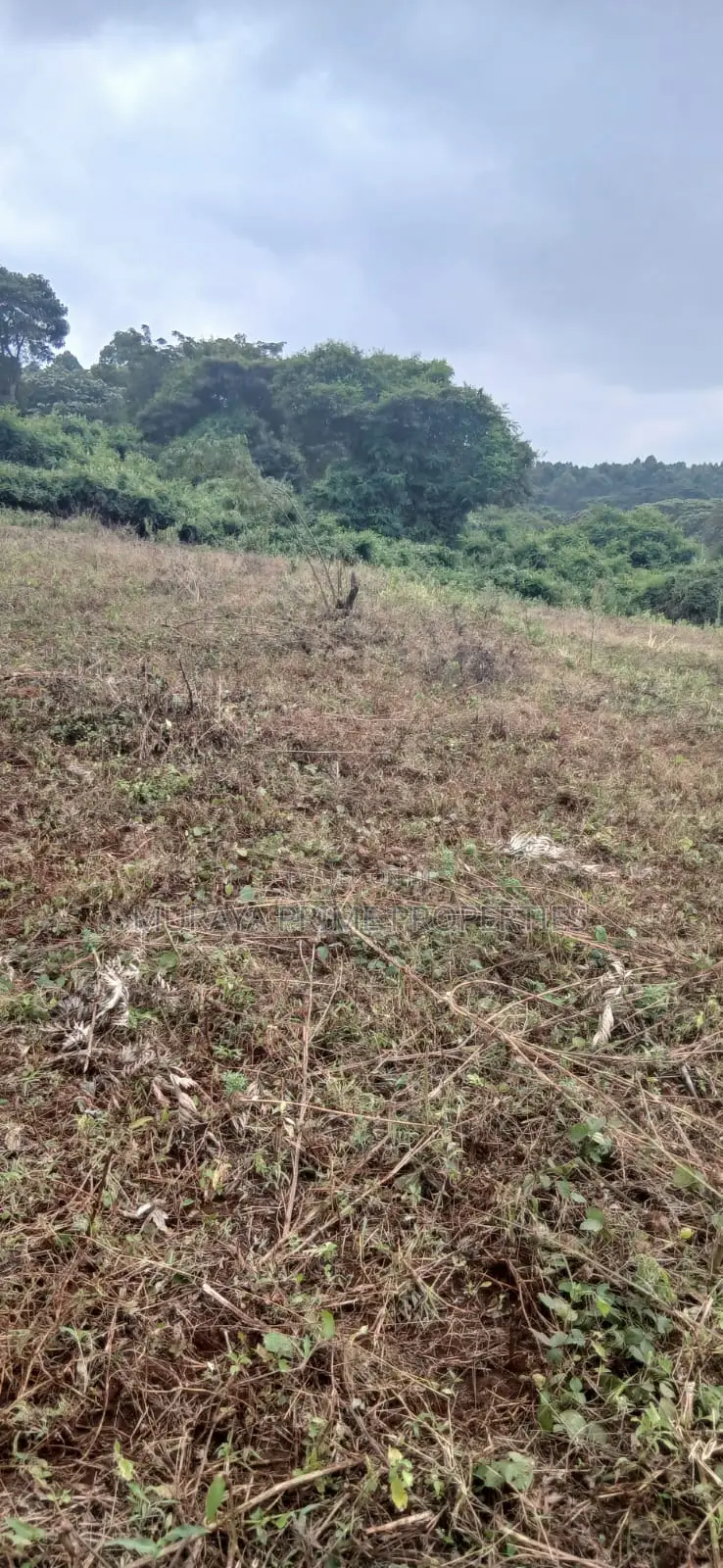 3/4 Acre Prime Plot for Sale – Kerarapon Drive in Kerarapon