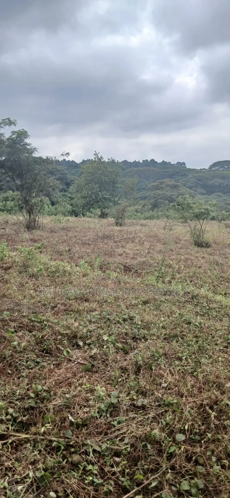 3/4 Acre Prime Plot for Sale – Kerarapon Drive in Kerarapon