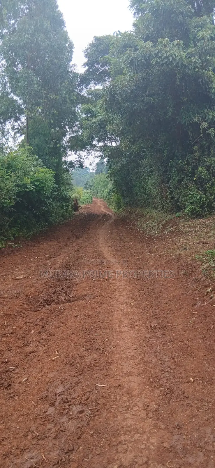 3/4 Acre Prime Plot for Sale – Kerarapon Drive in Kerarapon