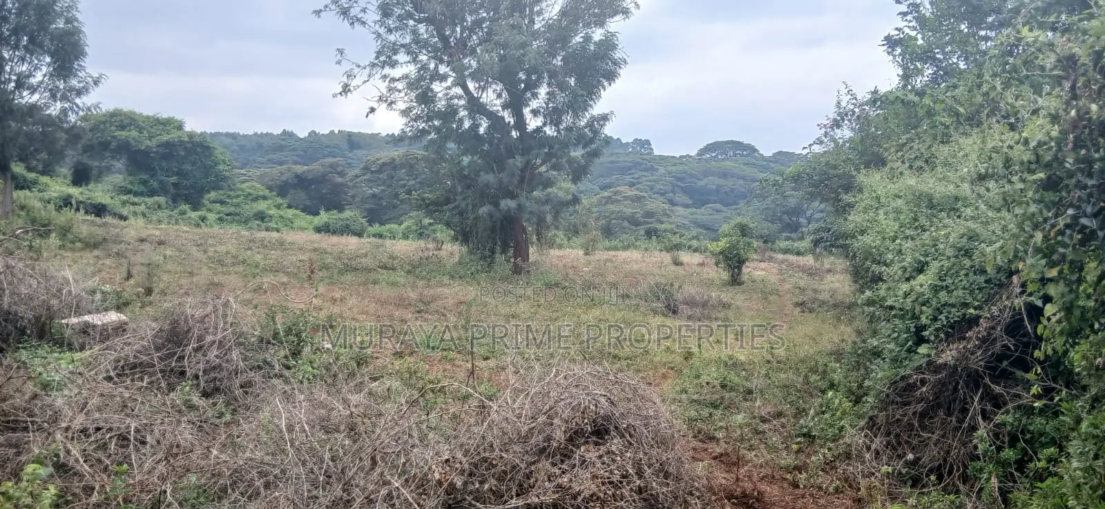 3/4 Acre Prime Plot for Sale – Kerarapon Drive in Kerarapon