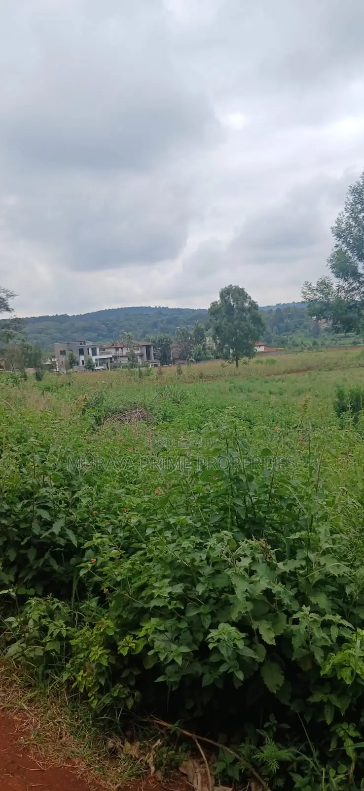 Prime 1/8 Acre Plot for Sale – Kerarapon Drive in Kerarapon