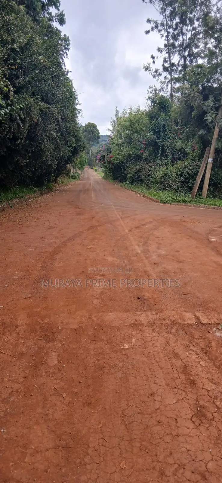 Prime 1/8 Acre Plot for Sale – Kerarapon Drive in Kerarapon