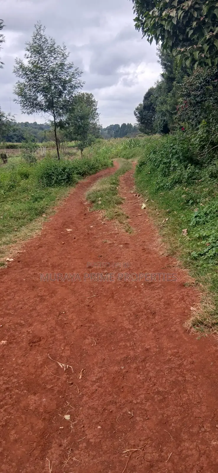 Prime 1/8 Acre Plot for Sale – Kerarapon Drive in Kerarapon